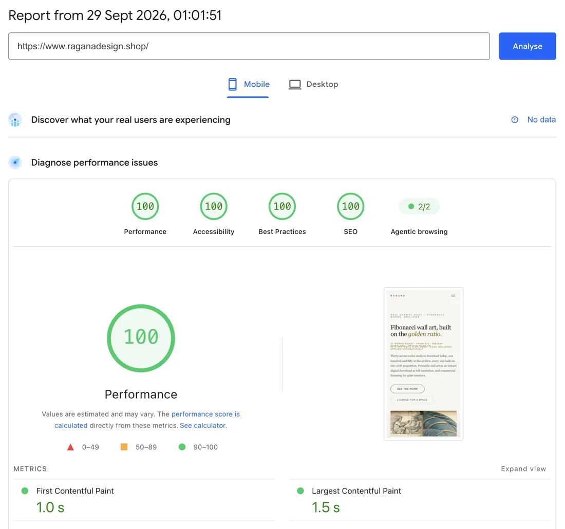 Raport Google PageSpeed Insights pentru raganadesign.shop: 100 la performanță, accesibilitate, bune practici și SEO